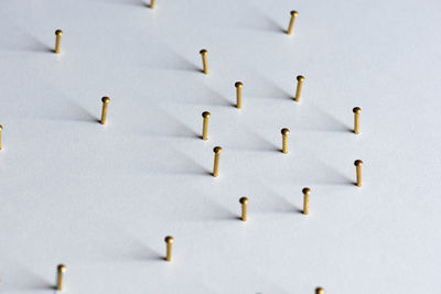 High angle view of birds flying over white background