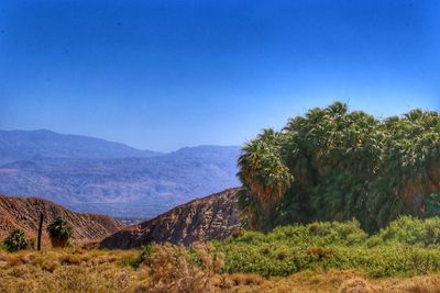 Scenic view of landscape against clear blue sky