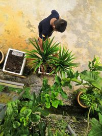 High angle view of man standing by plants