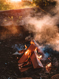High angle view of fire on log