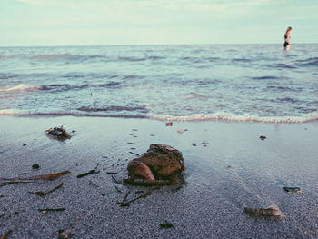 Close-up of rocks on beach against sky