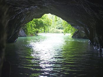 Scenic view of river with trees in background