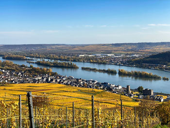 Scenic view of agricultural field against clear sky over river rhine