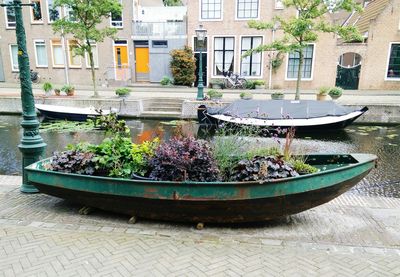 Potted plants against building