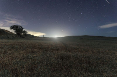 Scenic view of field against sky at night