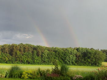 Scenic view of landscape against sky