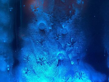 Close-up of frozen sea against blue wall