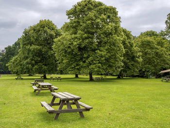 Wooden picnic tables in a green field in a park with mature trees in north yorkshire, england