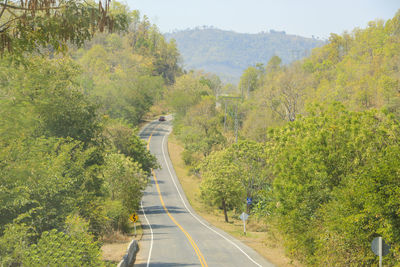 Road amidst trees and plants