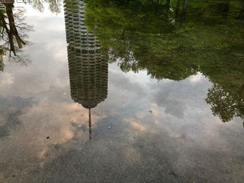 Reflection of tree in puddle on lake