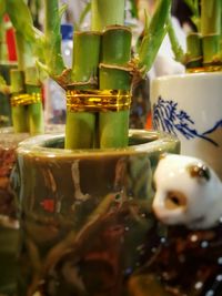 Close-up of jar on table