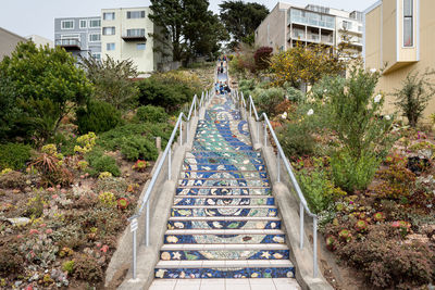 Walkway amidst trees in park