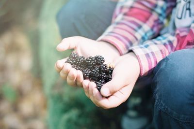 Midsection of boy holding blackberries