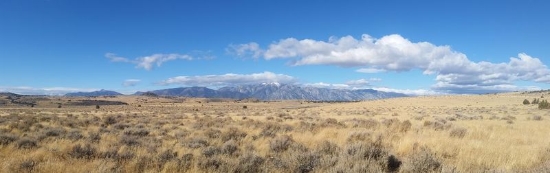 Panoramic view of field against blue sky