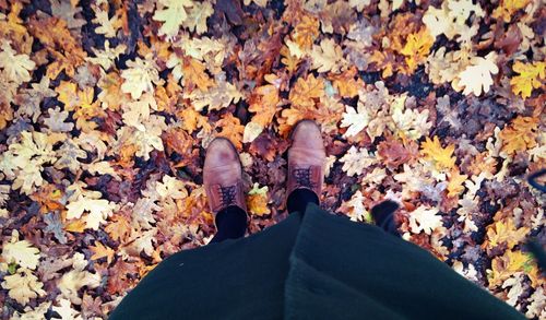 Low section of woman standing on maple leaves