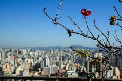 View of cityscape against clear blue sky