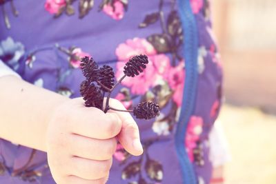 Close-up of hand holding purple flower