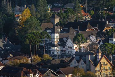 High angle view of trees in city