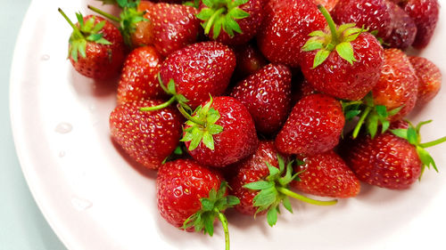 High angle view of strawberries in plate