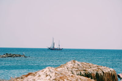 Sailboat in sea against clear sky