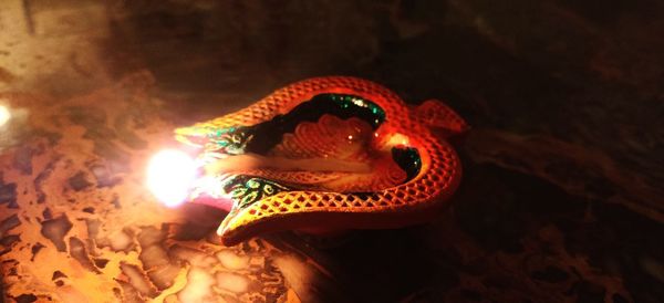 Close-up of illuminated lizard