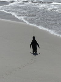 Rear view of man on beach