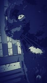 Low angle view of building against blue sky