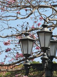 Low angle view of street light against clear sky
