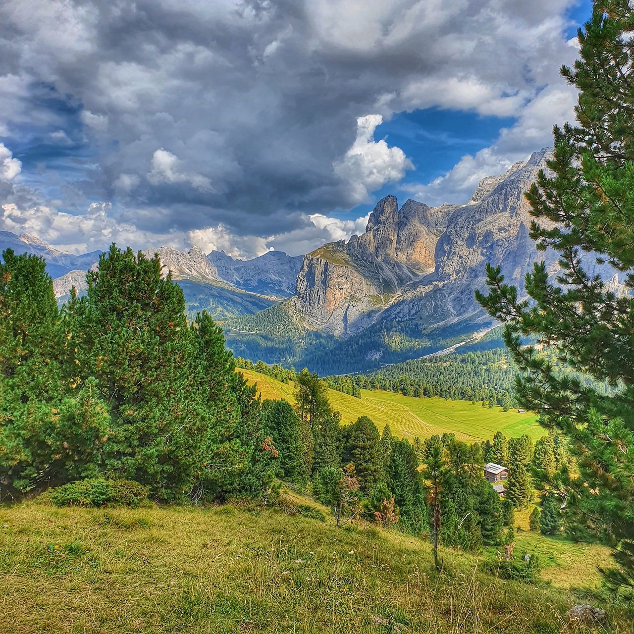 SCENIC VIEW OF TREES AND MOUNTAINS AGAINST SKY