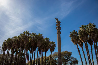 Low angle view of palm trees against sky