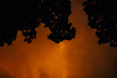 Low angle view of silhouette tree against sky at sunset