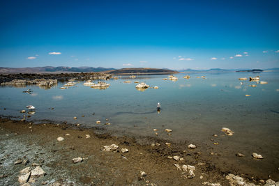 Mono lake midday, rocks in blue water white mineral deposits