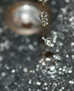 Close-up of water drops on leaf