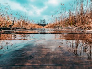 Scenic view of lake in forest against sky