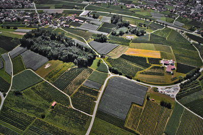 High angle view of agricultural field