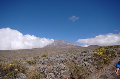 Scenic view of desert against blue sky