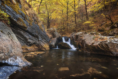 Stream flowing through rocks in forest