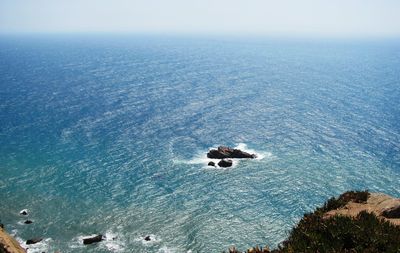 High angle view of ducks in sea