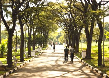 Rear view of people walking on road in city