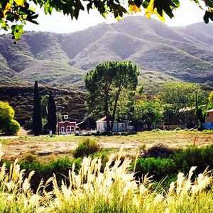 Scenic view of tree mountains