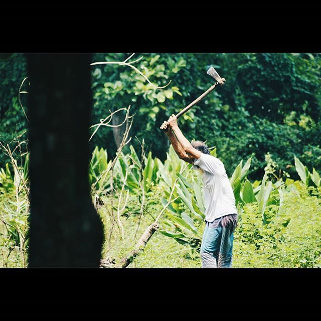 tree, forest, lifestyles, green color, growth, transfer print, grass, plant, nature, standing, holding, leisure activity, field, full length, auto post production filter, men, day, outdoors