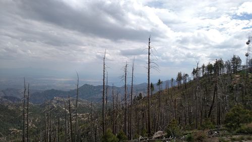 Scenic view of landscape against cloudy sky