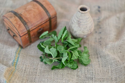 High angle view of vegetables on table