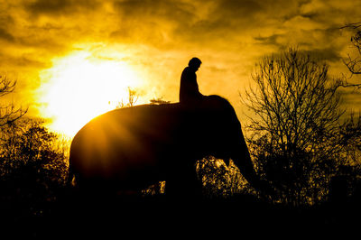 Silhouette man and horse on field against sky during sunset
