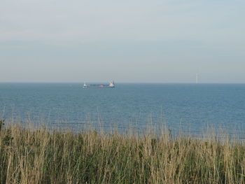 Sailboat sailing in sea against sky