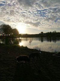 View of calm lake at sunset