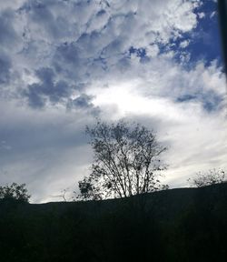 Low angle view of silhouette tree against sky