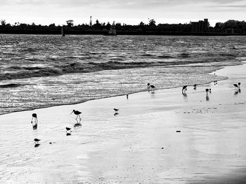 Group of people on beach