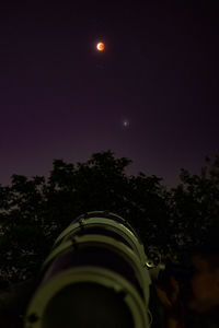 Low angle view of plants against clear sky at night