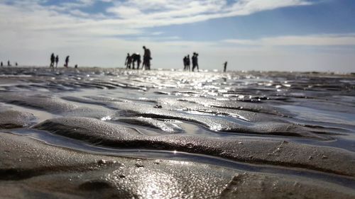 Close-up of frozen beach against sky